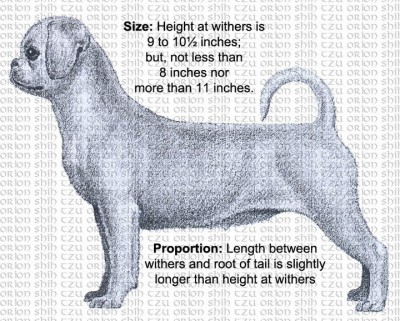 1 Breed Proportions