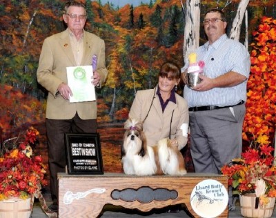 Best in Show in Bred-by-Exhibitor competition