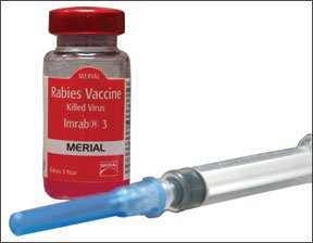 0310-news_rabies_vaccine