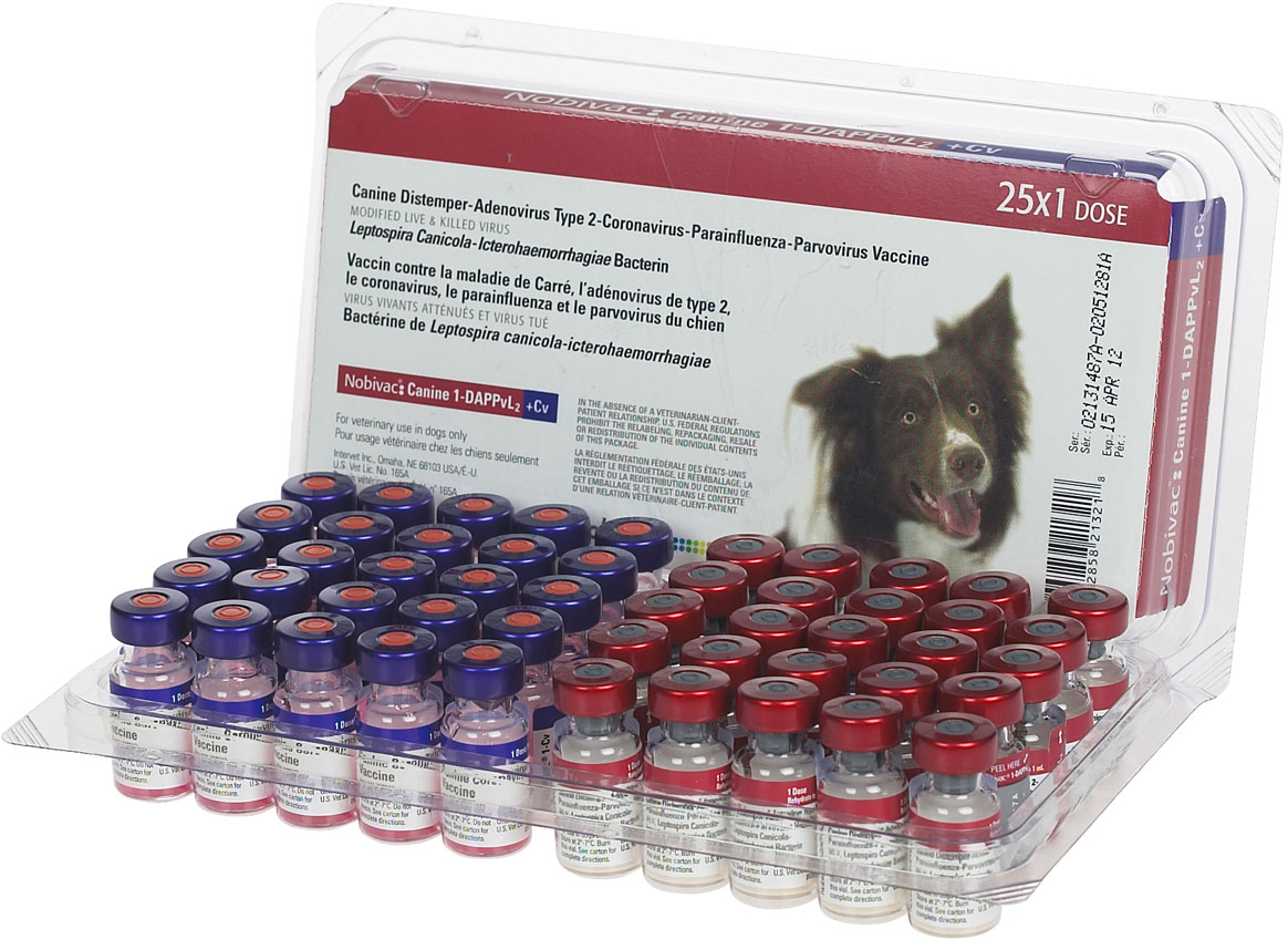 ReVaccination History Vaccines Sapphire Shih Tzu ReVaccination History Vaccines Sapphire Shih Tzu