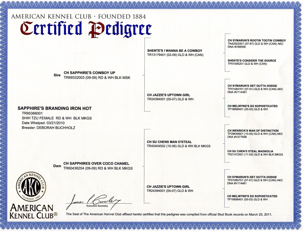 Brandy pedigree